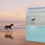 The Untethered Soul by Michael A. Singer